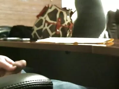 Lady Boss videos pornos antigos brasileiros preenchida com a ferramenta do representante