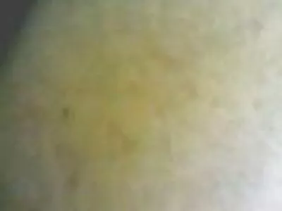 Esposas assexuadas seduzem o vídeo de pornô antigo fotógrafo
