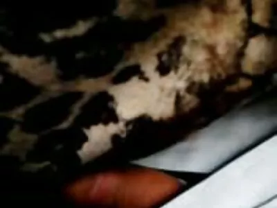 Kelly pornor antigo e Sophie interromperam a presença de Wit Ryans